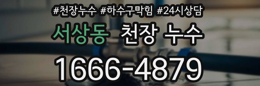 서상동 천장 누수