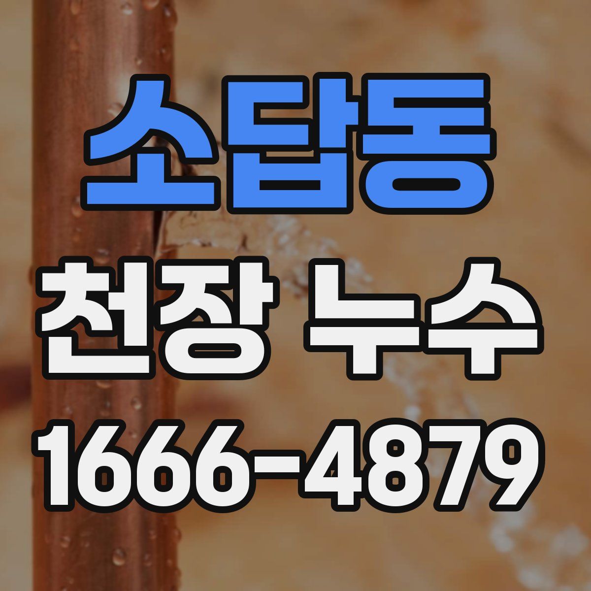 소답동 천장 누수