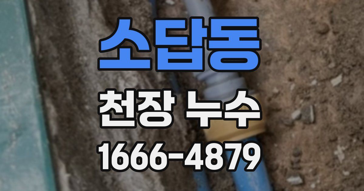 소답동 천장 누수