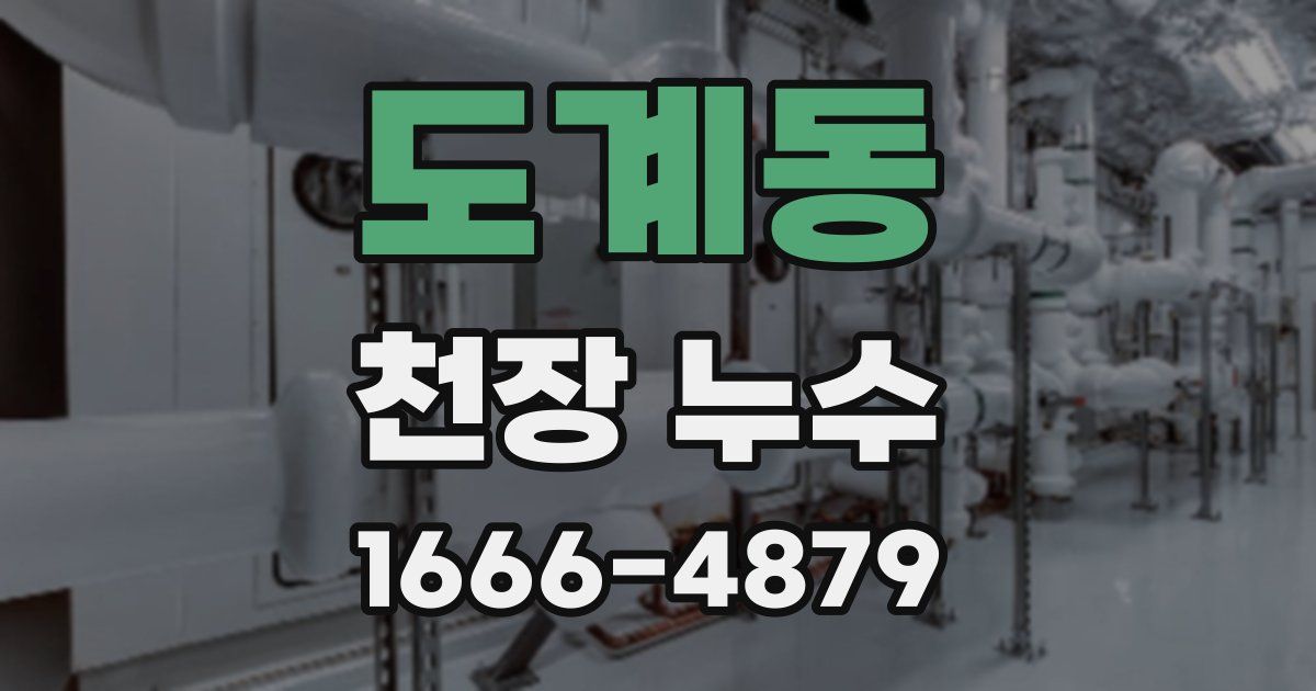 도계동 천장 누수