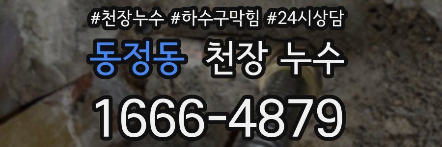 동정동 천장 누수