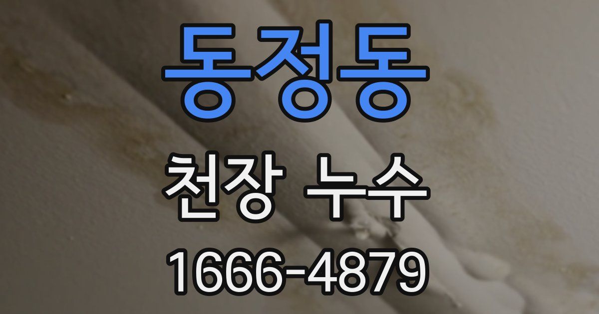 동정동 천장 누수