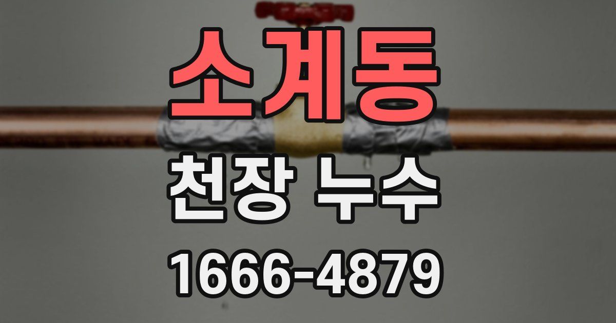 소계동 천장 누수