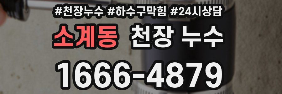 소계동 천장 누수