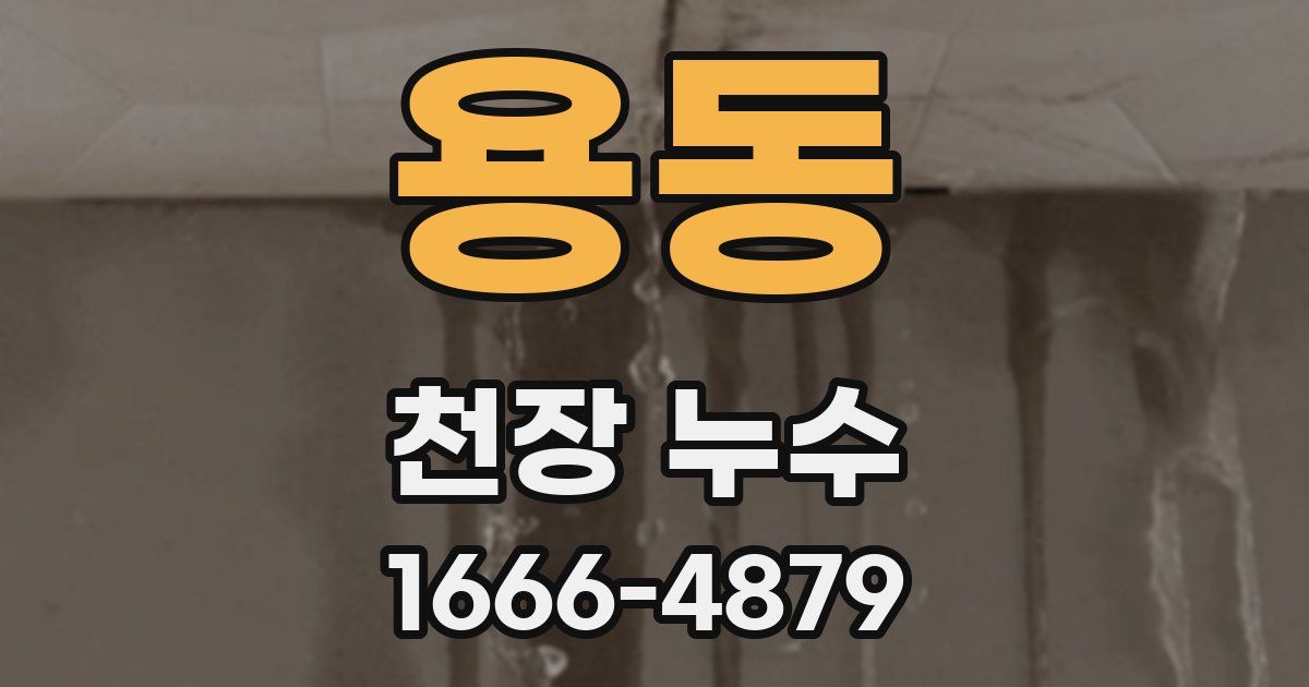 용동 천장 누수