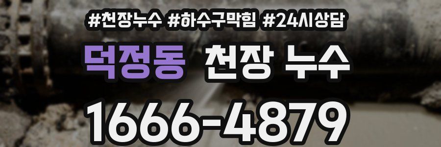 덕정동 천장 누수