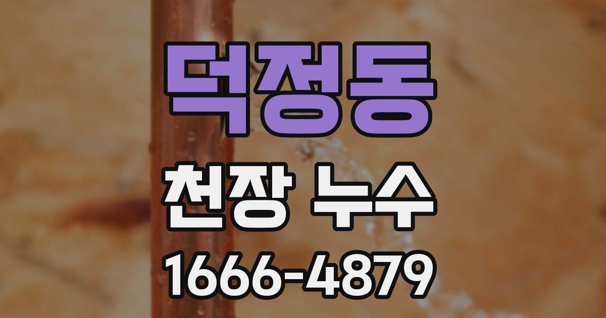 덕정동 천장 누수