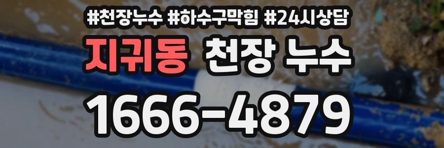 지귀동 천장 누수