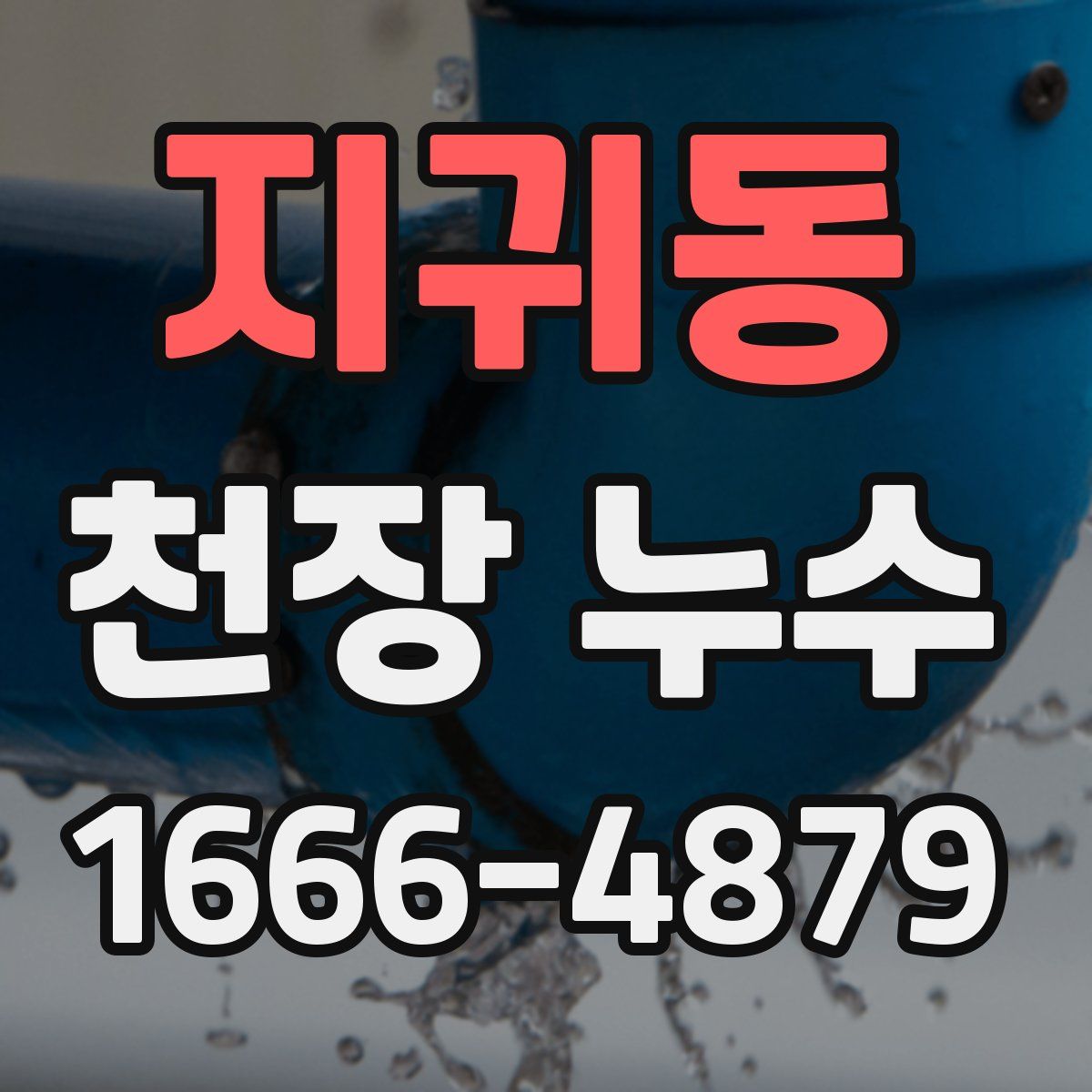 지귀동 천장 누수