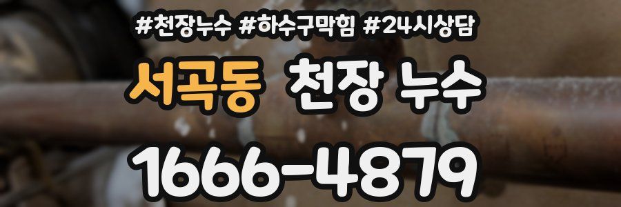 서곡동 천장 누수