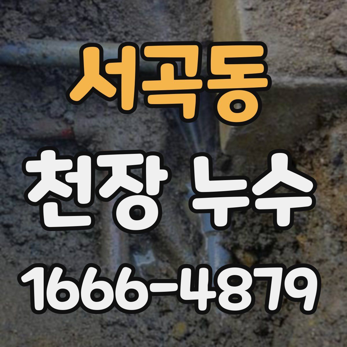 서곡동 천장 누수