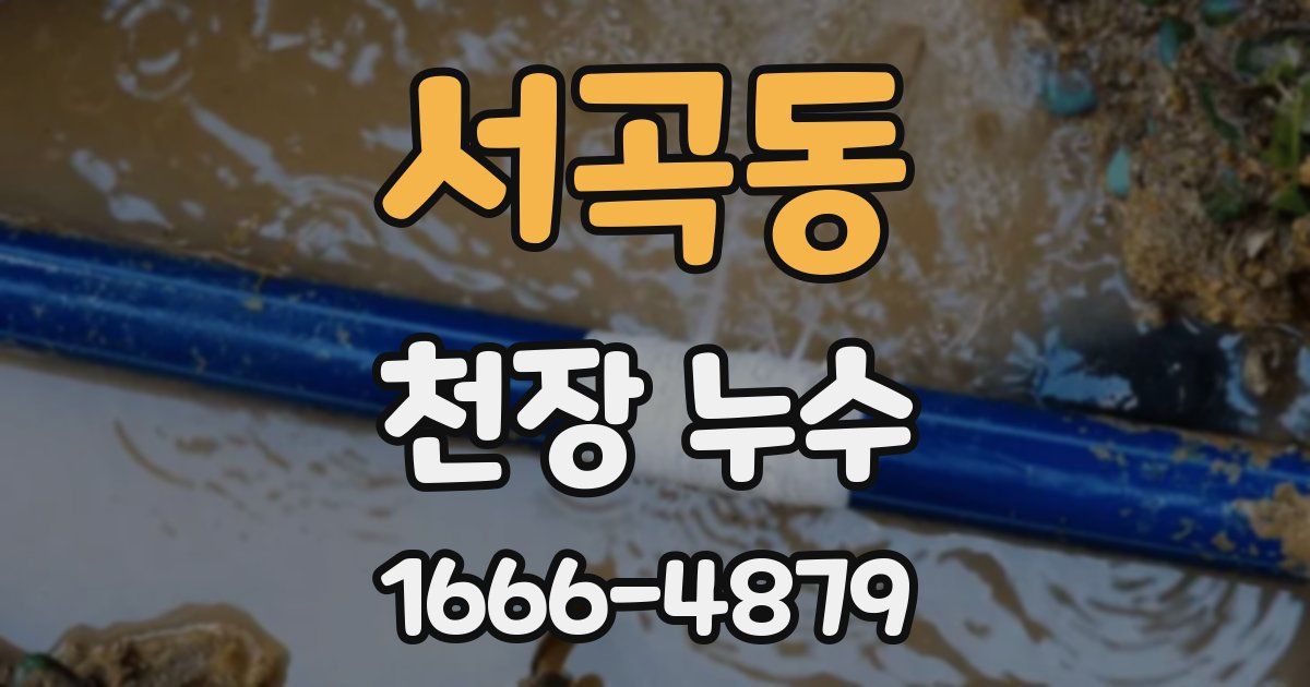 서곡동 천장 누수