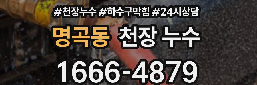 명곡동 천장 누수