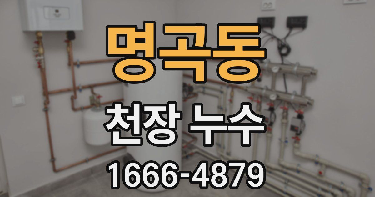 명곡동 천장 누수