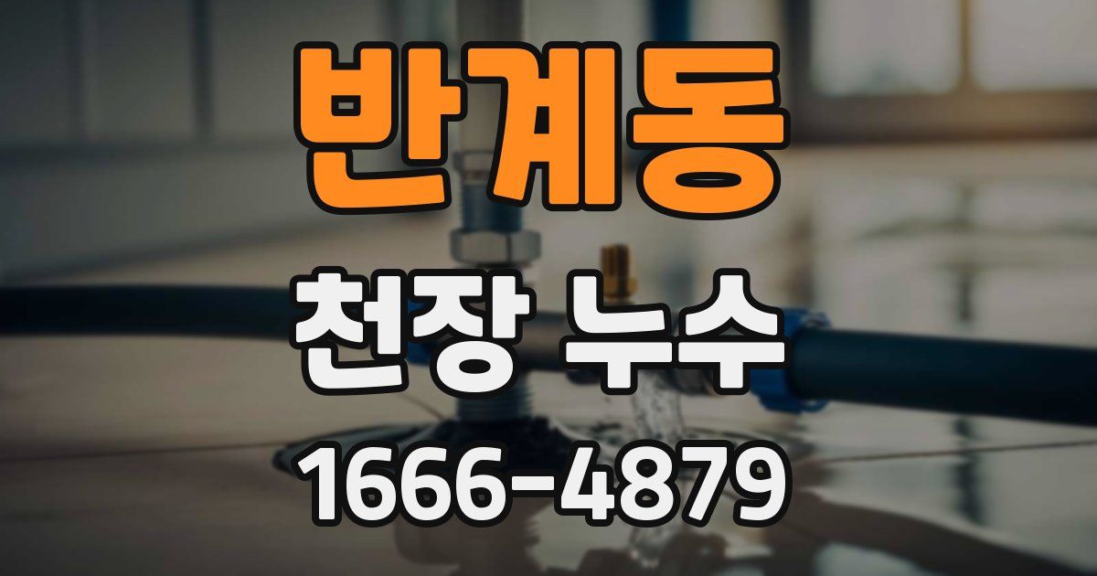 반계동 천장 누수