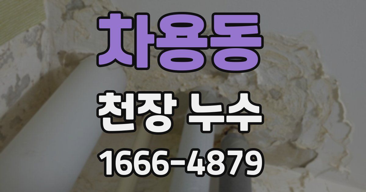 차용동 천장 누수