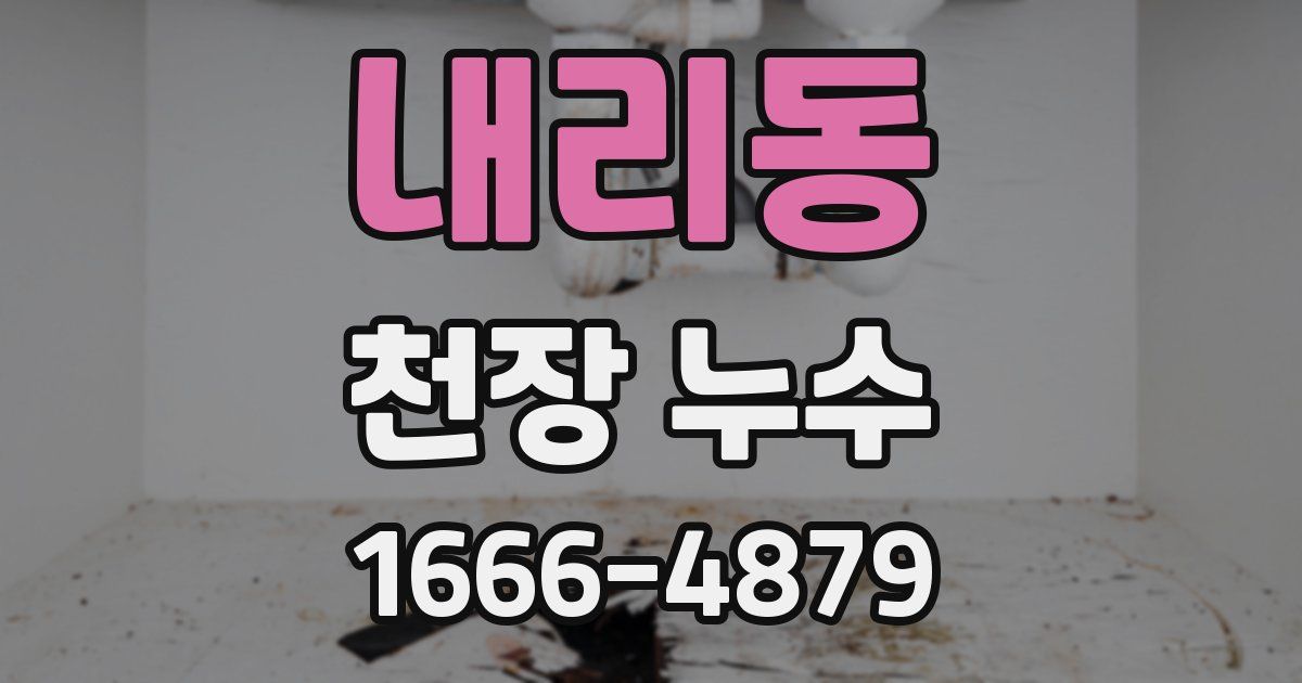 내리동 천장 누수