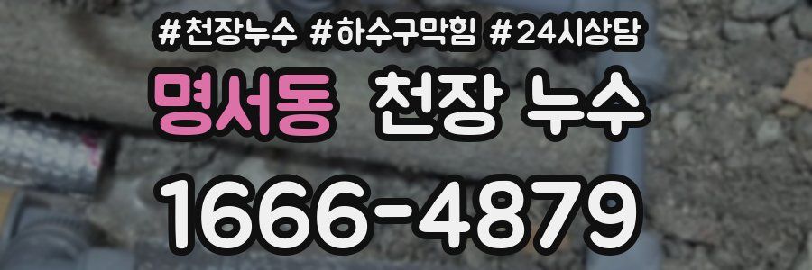 명서동 천장 누수