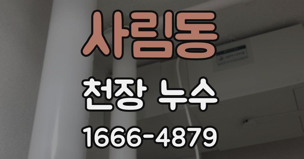 사림동 천장 누수