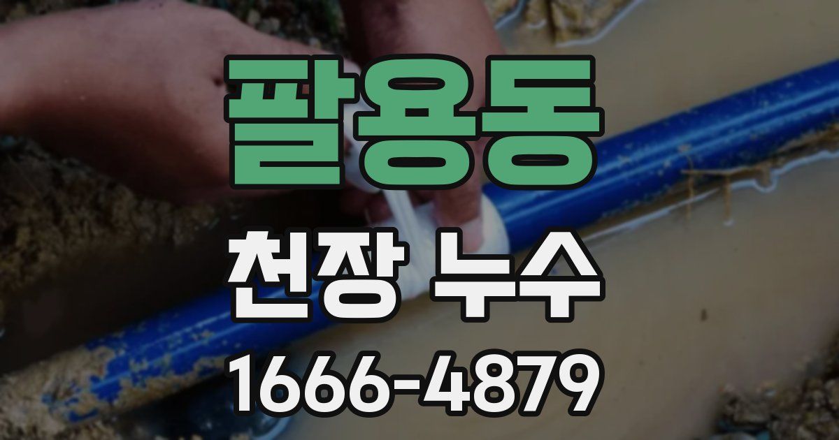 팔용동 천장 누수