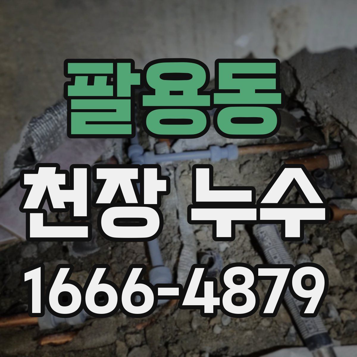 팔용동 천장 누수