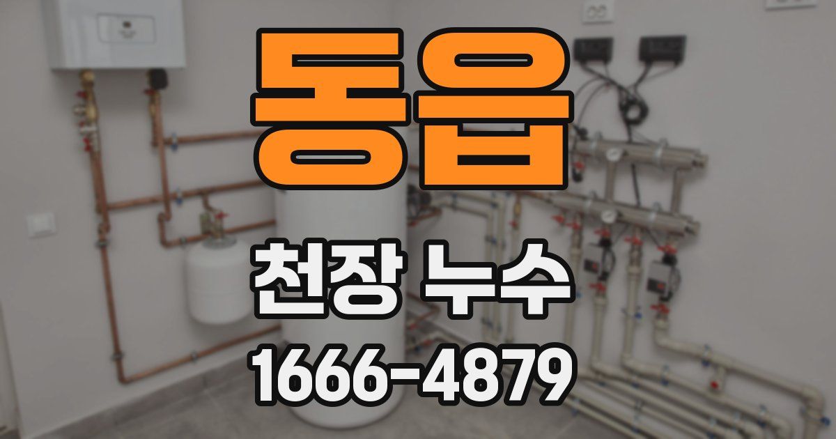 동읍 천장 누수