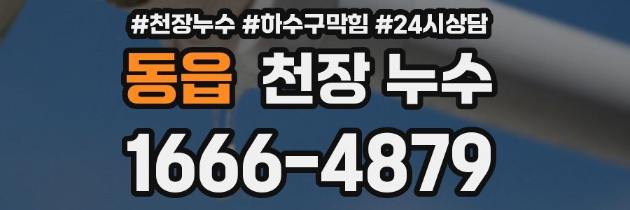 동읍 천장 누수