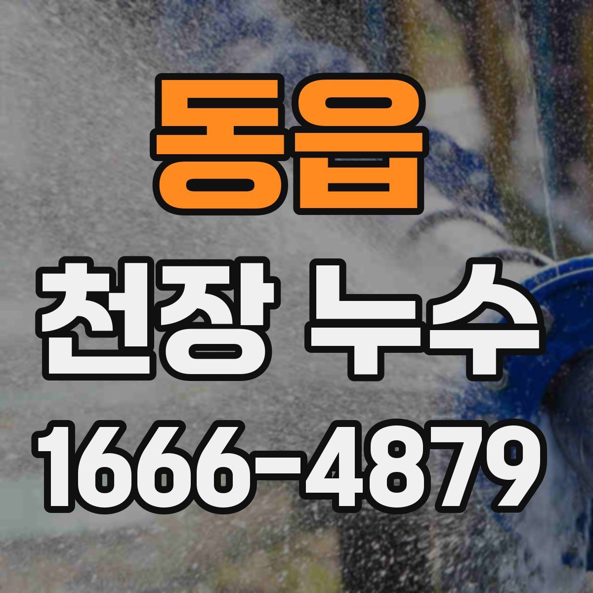 동읍 천장 누수