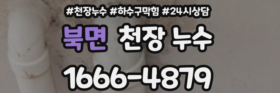 북면 천장 누수