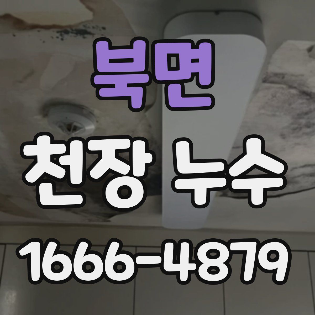 북면 천장 누수