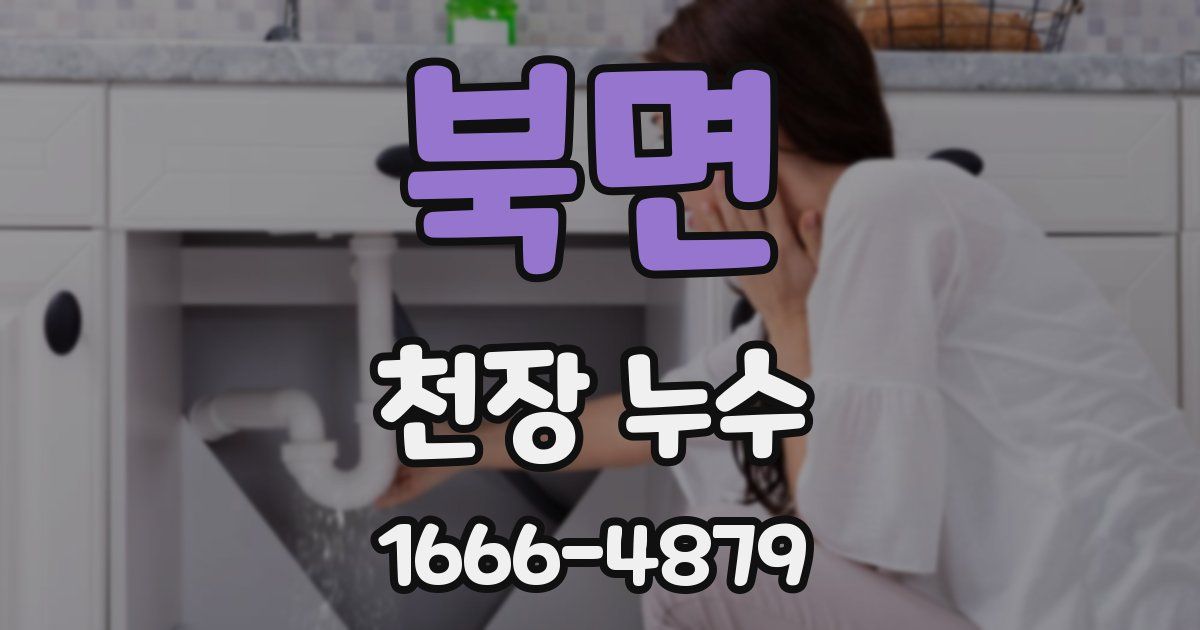 북면 천장 누수