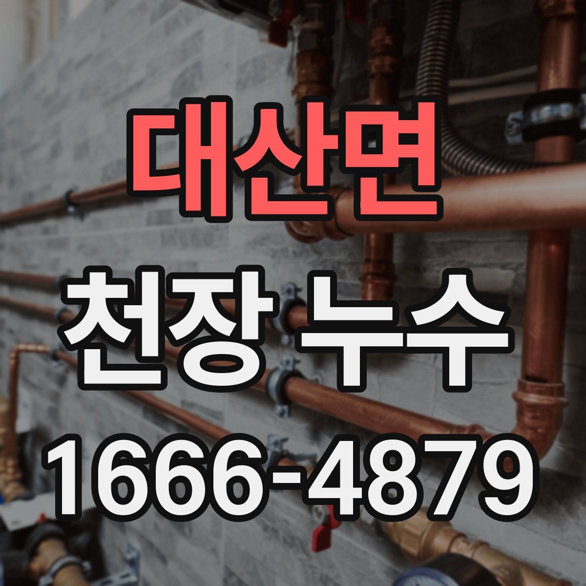 대산면 천장 누수