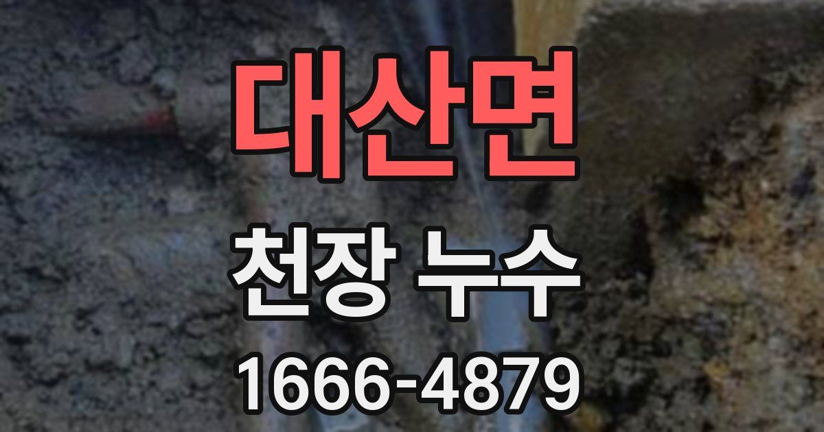 대산면 천장 누수