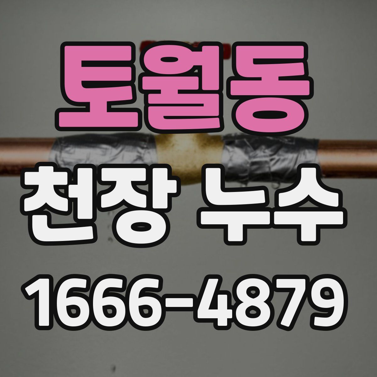 토월동 천장 누수