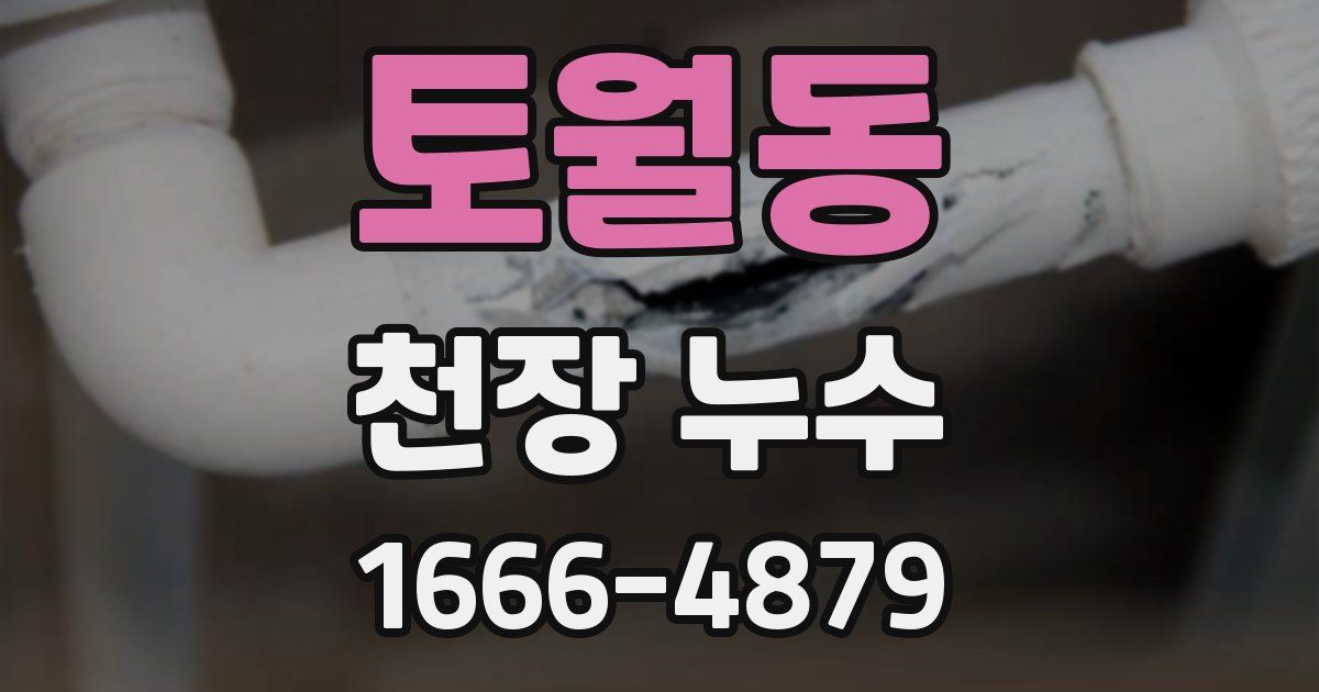 토월동 천장 누수
