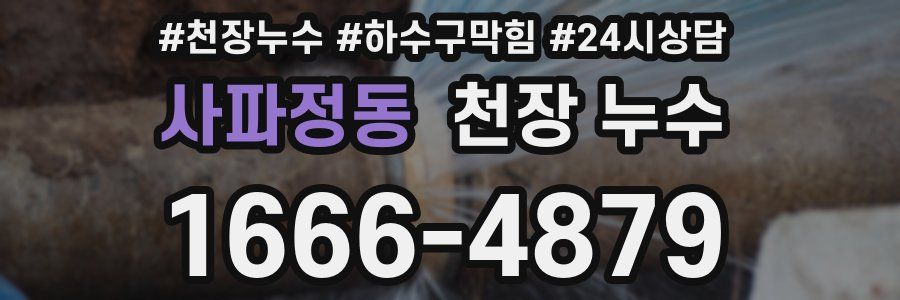 사파정동 천장 누수