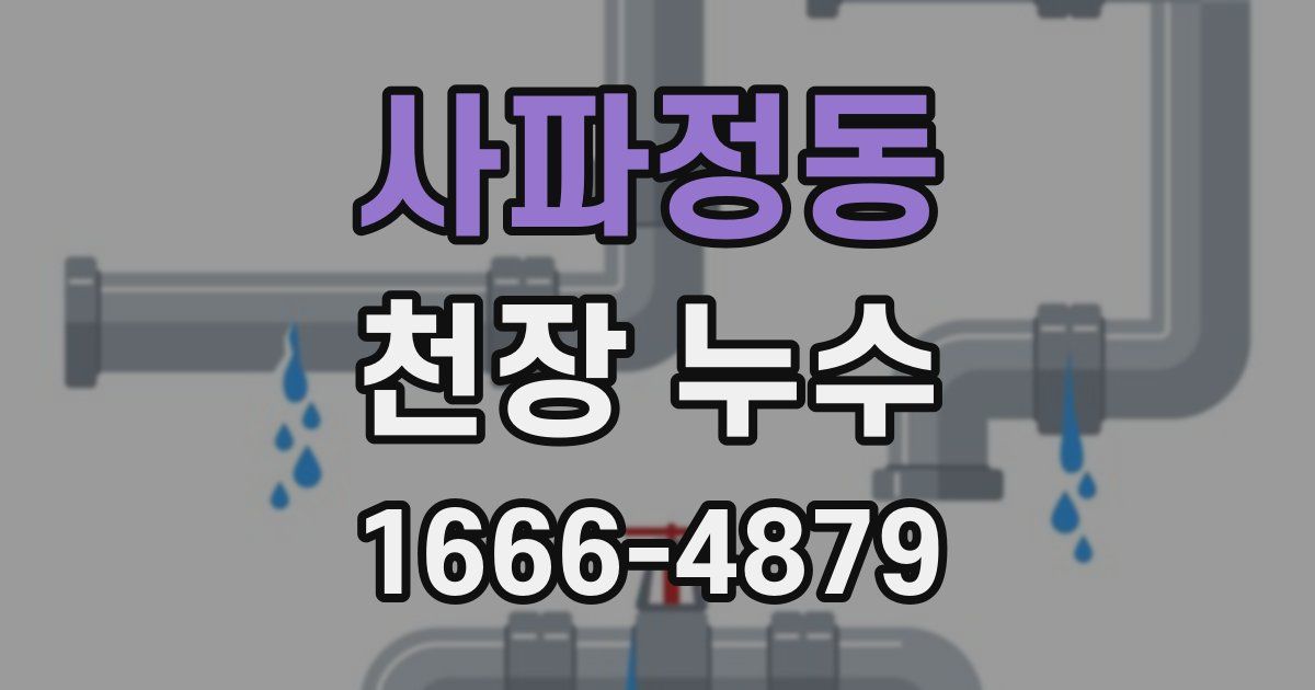 사파정동 천장 누수