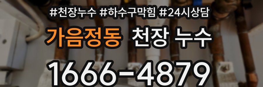 가음정동 천장 누수