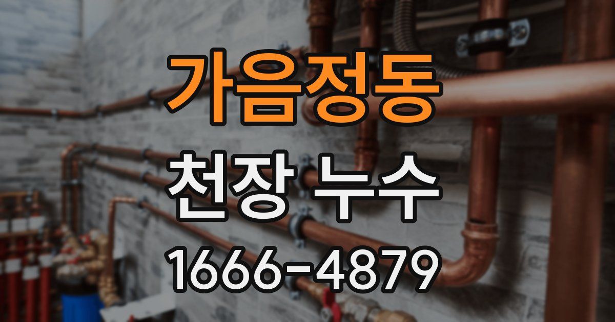 가음정동 천장 누수