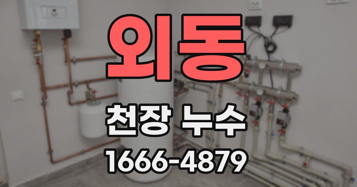 외동 천장 누수