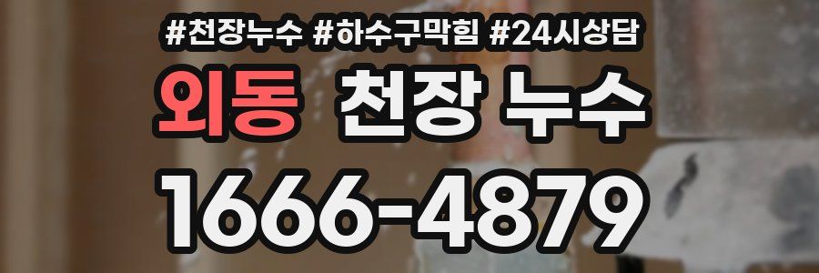 외동 천장 누수