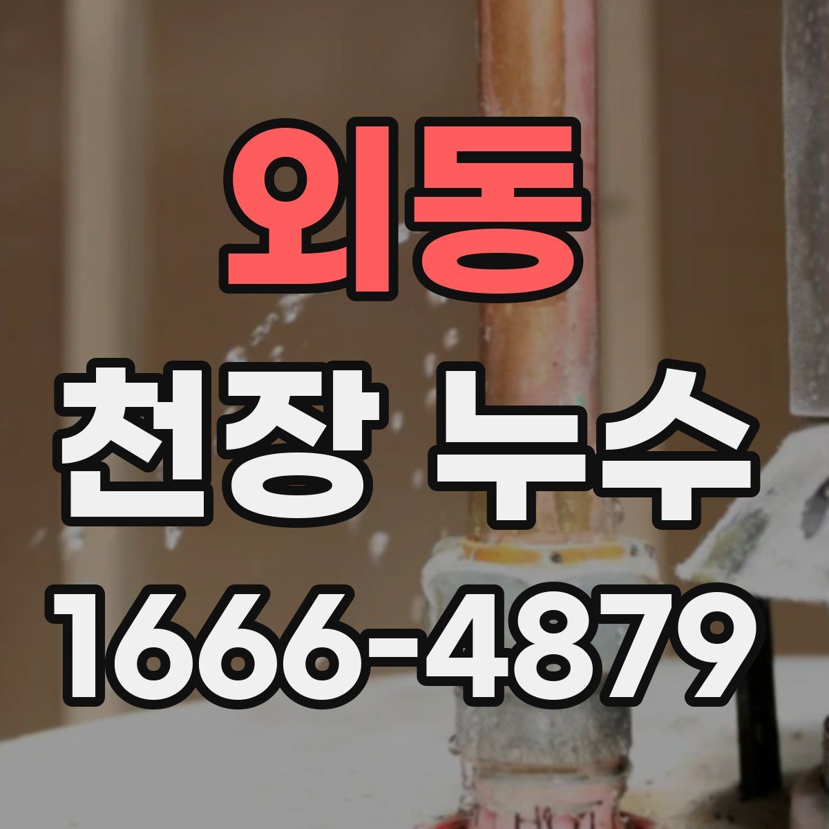 외동 천장 누수