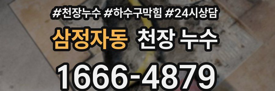 삼정자동 천장 누수