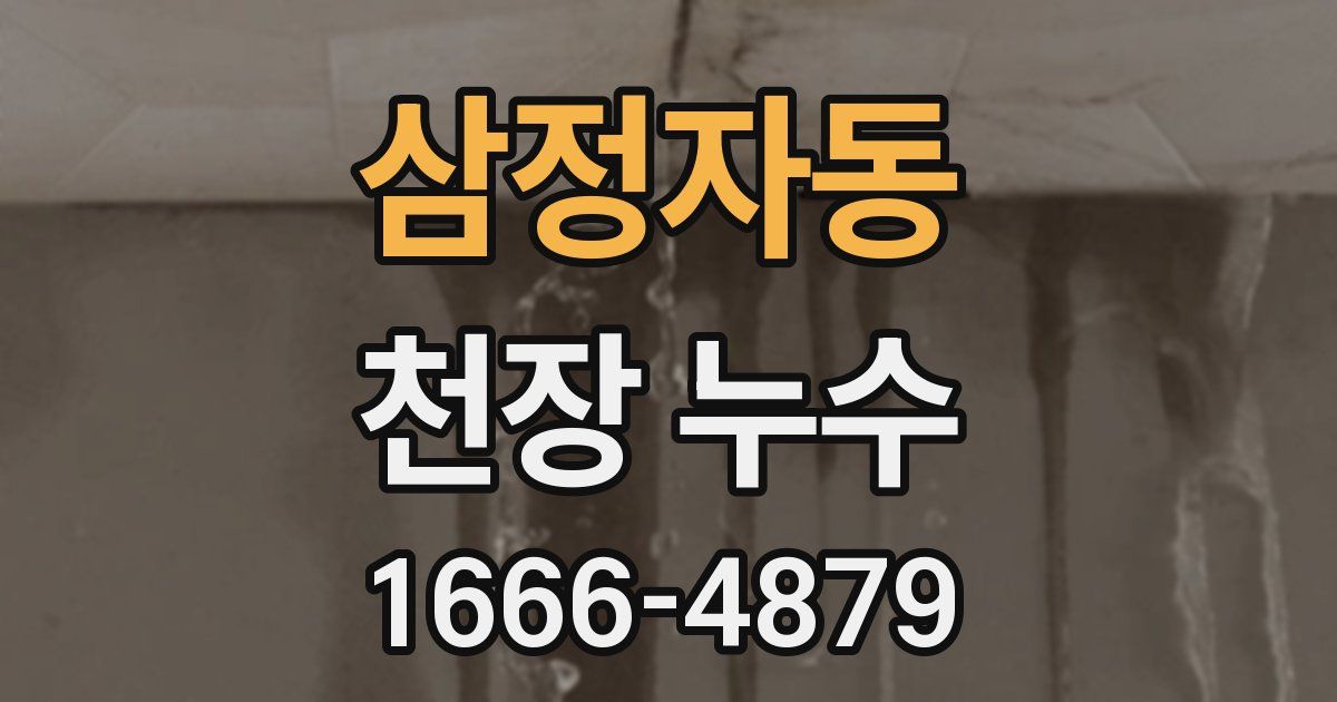 삼정자동 천장 누수
