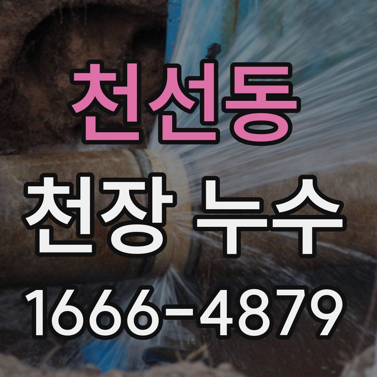 천선동 천장 누수