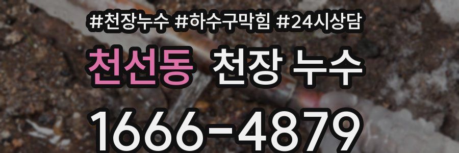 천선동 천장 누수