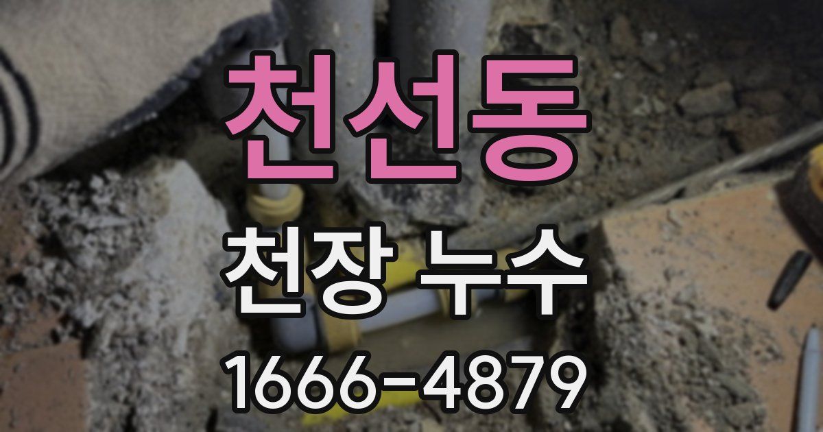 천선동 천장 누수