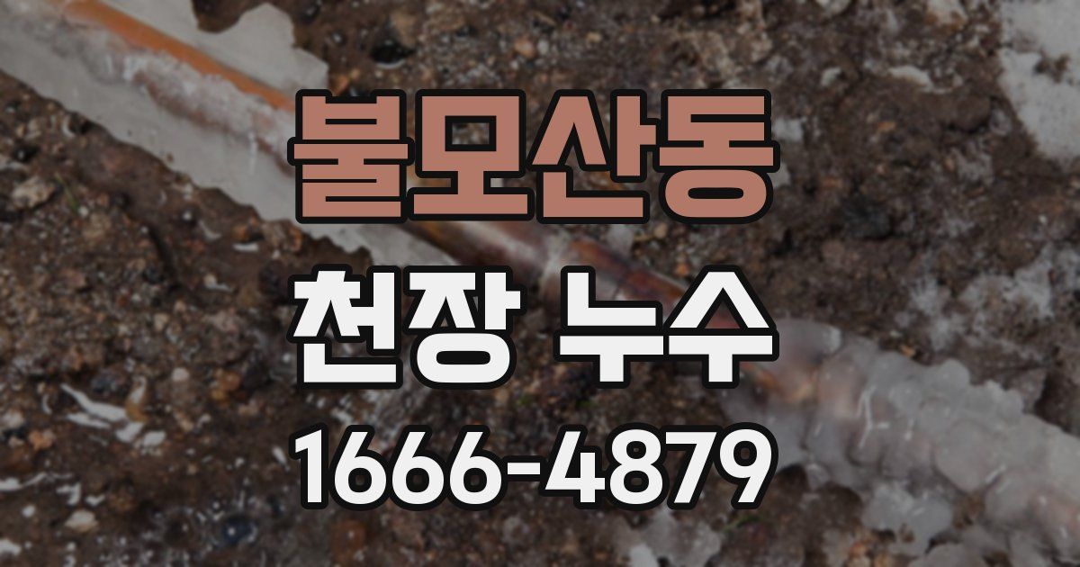 불모산동 천장 누수