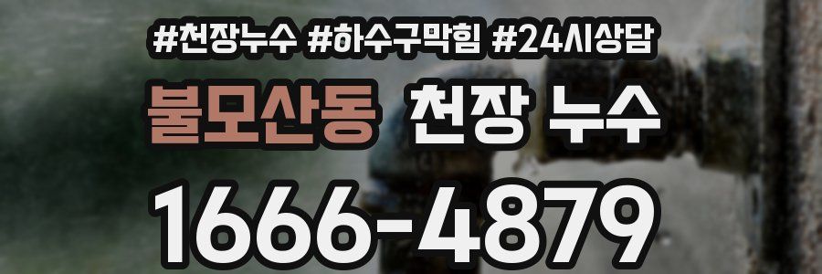 불모산동 천장 누수