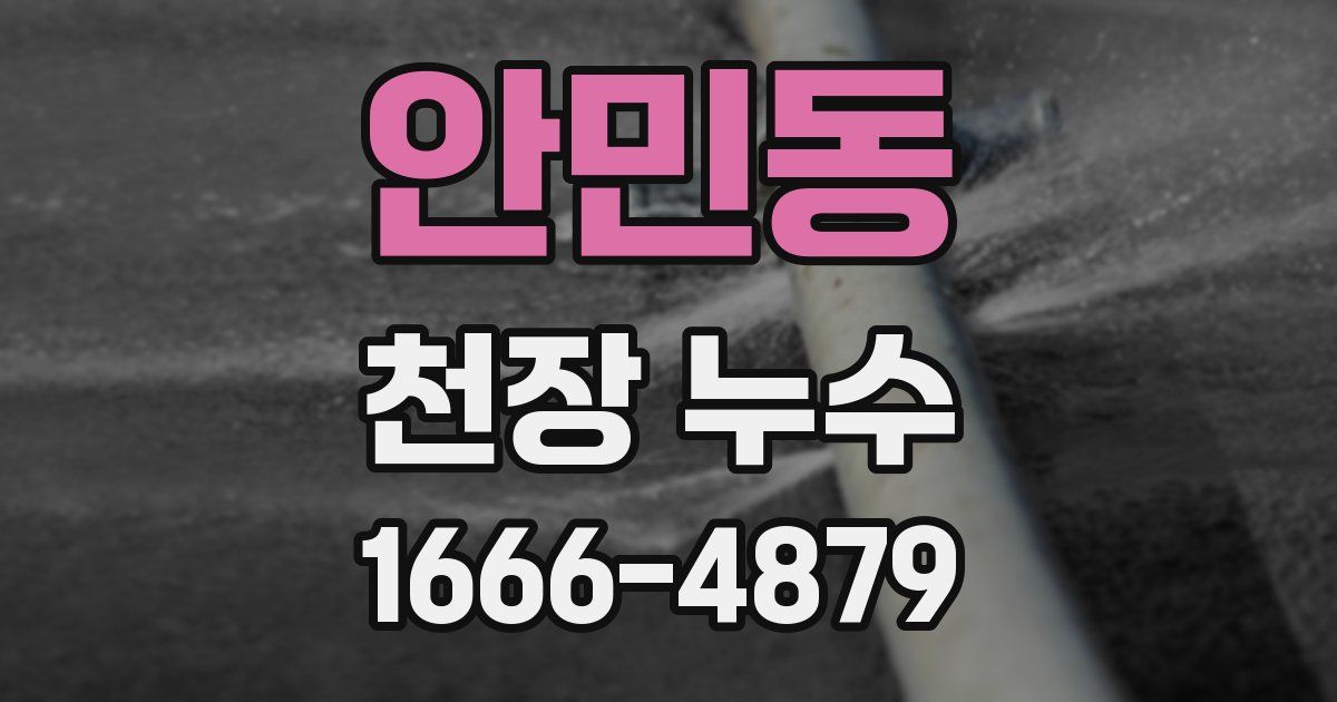 안민동 천장 누수